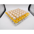 best price plastic egg tray for chicken eggs 30 chicken eggs plastic tray.